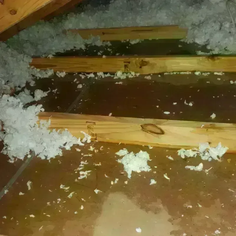 Attic Water Damage in Mill City, OR